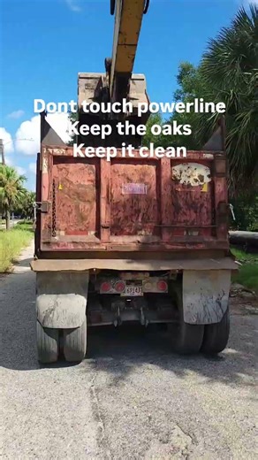 Pavement removal under live oaks & power lines