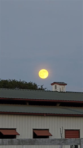Full moon setting the mood for Halloween season 🍁 | Nova Ranch LLC
