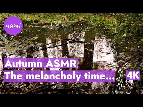 🍂 ASMR Autumn Calm - The melancholy time! So charming to the eyes… #ASMR #NatureSounds #AutumnASMR