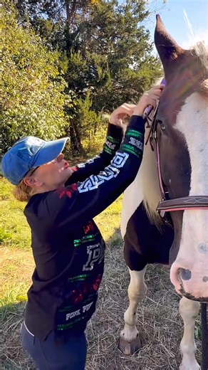 First grooming session with my new horse! #draftcross | Free Spirit Equestrian