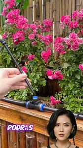 1.5M views · 7.8K reactions | LA MEJOR BOMBA DE AGUA #trucoscaseros #reelsfyp #hack #reelsviralシfb #hometips | CosasChinas | Facebook