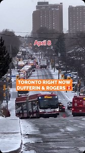 That TTC bus looks like it’s questioning its life choices! DUFFERIN & ROGERS is a whole movie right now. Follow @friendly_neighbour_durham & @friendly_neighbour_discover for more content. DM us your photos/videos to be featured on the page ‼️ 🎥 :(tt/ jena_lyn2) #TorontoWeather #AprilSnow #OnlyInToronto #ViralToronto #ExploreCanada #friendlyneighbour #fnd | Friendly Neighbour