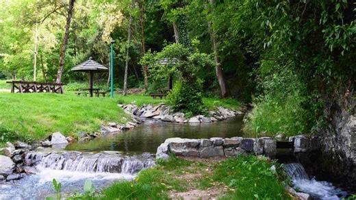 Mladi istraživači Srbije: Otvoren konkurs EKO-SISTEM za zaštitu životne sredine