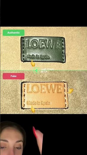 How to Authenticate Any Loewe Bag Yourself