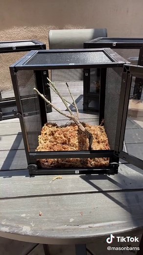 Mason Barns on TikTok