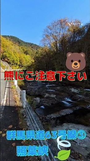 群馬県道63号線③ 照葉峡(熊にご注意下さい)#紅葉