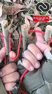 212K views · 928 reactions | How to tie Triple loops Bowline knot #knotshort | KNOT SHORT | Facebook