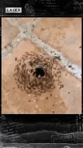 🚫⚠️ NO es recomendable ver mis otros vidéos #illuminati #misterio #alien #scary #foryoupage #foryou