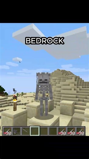 JAVA VS BEDROCK