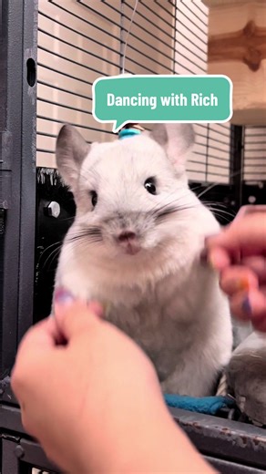 Dancing with Rich: A Heartfelt Pet Connection