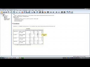 How to Use SPSS - Point Biserial Correlation