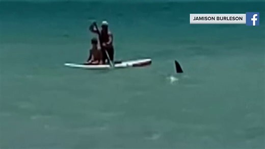 3 people injured in 2 shark attacks at neighboring Florida beaches
