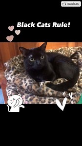 18 reactions · 5 comments | A happy story from our friends Eira &...