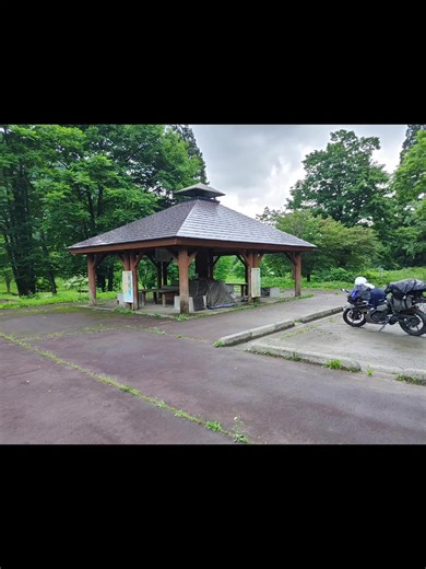 銀山温泉でのキャンプ体験とトトロの木