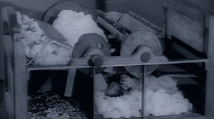 Classroom | The Cotton Gin | The African Americans: Many Rivers to Cross