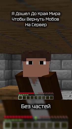 🍿 I Reached The End Of The World To Return The Mobs To The Server | YT: Кавкин #minecraft #mine #game #noparts