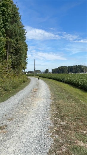 1.4K views · 17 reactions | This is what it’s like with extremely...