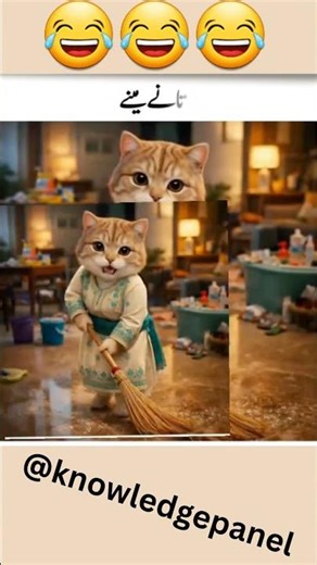 Funny vedio 😂😂2026 #youtube #youtubeshorts #ytshorts #trendingfunnyvedio #knowledgepanel