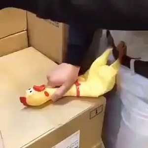 Vídeo pesado! Não recomendo a qualquer um assisti-lo!!! | REVOTECH