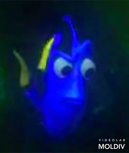 Monsters Inc 2001 Finding Nemo 2003