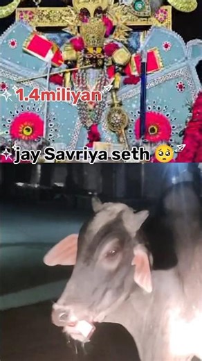 go mata seth Savriya gay ko seth #trending #shyam #love #shortvairal #vairalshort#gomata