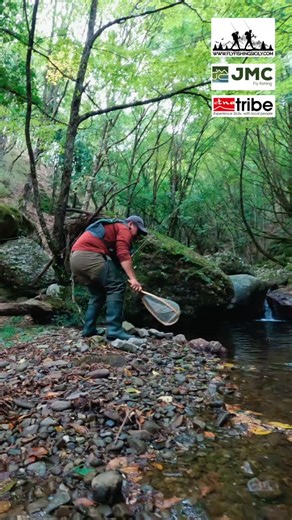 Book now your fishing guide 🎣 #flyfishingphotography #fishingguideinsicily #flyfishinglife #followforfollowback #fishingguide @etnatribe @jmcflyfishing @fly.fishing.sicily.experience @orvisflyfishing #sicily @ninodistefano83 @salvo.fishing.charter @michael_menardo @cryfly @giang_i80 @vitalitisilvestro | Fly Fishing Sicily outdoor experience