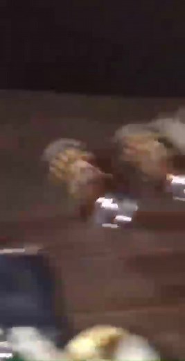 ROOT BEER NOOO ROOT BEER 😭 #meme #memes #memestiktok #rootbeer #rootbeerno #rootbeerguy