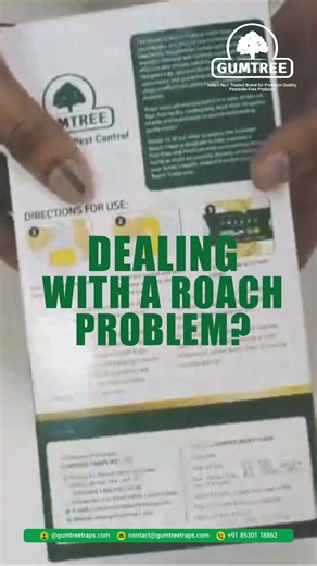 Watch how easy it is to set up the Gumtree Roach Trap, specifically designed to target the problematic German Cockroach where they hide. See the results for yourself! #gumtree #gumtreetraps #RoachTrapp #cockroach #Germancockroach #Roach #underthestove #underthefridge #kitchencabinets #cockroachinfestation ##HappyCustomerReview | Gumtree Traps | Facebook