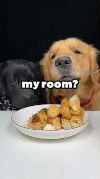 My stepmom emptied my sister's lockbox for a brand-new car, so my sister called 911