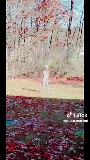 Thanksgiving day sighting of grey alien ? caught on camera in backyard #fyp #thanksgiving #alien #ufo #paranormal #cryptid #unknown #unexplained #scary #creepy #scared #wv