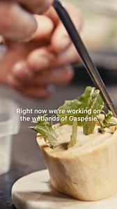 Beneath the vaults of Old Québec City, a feast for the senses awaits you. With its two MICHELIN Guide stars, Restaurant Tanière³ invites you on a journey through the region, the seasons and history. 🌟 🎥 : Catherine Lefebvre, La Petite histoire | Bonjour Québec