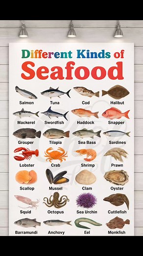 Different types of seafoods | Chef Jahed