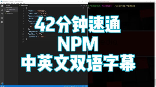 NPM 速成课程
