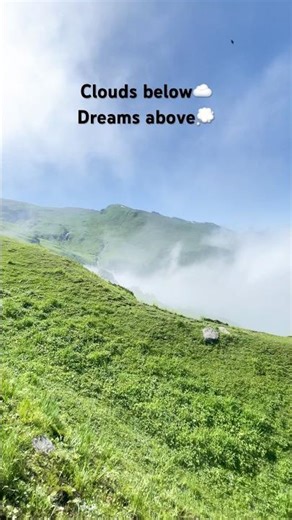 Walking above the world🌍☁️#trekking #clouds #hikingadventures #bhrigulake #nature #bgmi