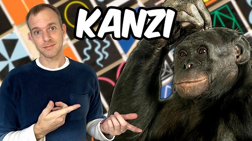 Kanzi the bonobo, who learned language, made stone tools, and played Minecraft, dies at age 44. What can his remarkable linguistic abilities teach us about language? For a written version of this video with sources, visit the newsletter: https://linguisticdiscovery.com/posts/kanzi/ Ape Initiative: https://www.apeinitiative.org/ Further Reading Kanzi: The ape at the brink of the human mind https://amzn.to/3DVL6YL Baboon metaphysics: The evolution of a social mind https://amzn.to/40Et0Sr If you en