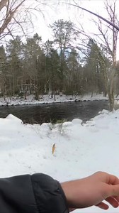 55K views · 457 reactions | Do These Amazon Lures Actually Catch Fish!?! | The Skye Life - Fishing and Outdoor Adventures | Facebook