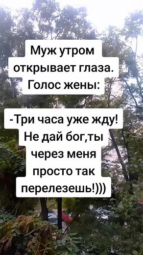 Spring Anticipation and Humor in Nature