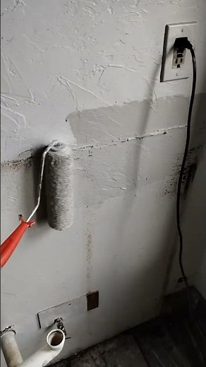 How to get rid of roach poop.