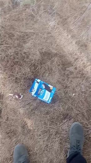 Stay away from Edy's Pie. | Scott Logan