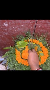 16K views · 331 reactions | চানা পনির , নান রেসিপি Full video link in comment box #reelsfacebook #reelschallenge #reels | Chaulia Family Vlog | Facebook