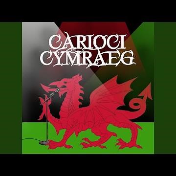 Lawr ar lan y mor
