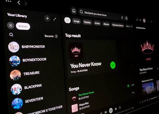 BLACKPINK - You Never Know: Lyrics and Meaning