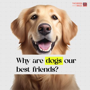 34 reactions | Human-dog relations are a testament to the deep and...