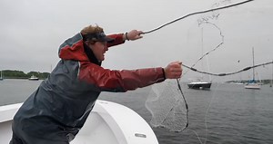 Cast Netting Pogies to Use as Bait for Huge Stripers