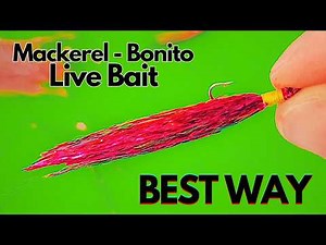 Ultimate Sabiki Rig Hook Guide 🎣 | Catch Live Bait Fish Easily