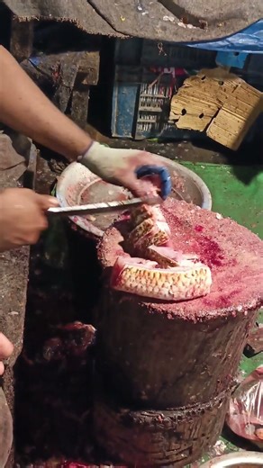 Primitive Hook Fishing Overnight: Building a Simple Shelter and Cooking the Catch! 🎣⛺​