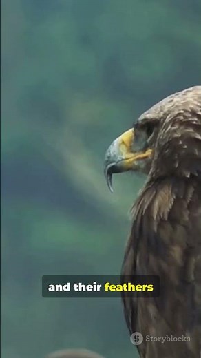 Transformation Begins with Pain | Eagle Story 🕊️