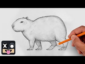 How To Draw a Capybara | Step by Step Art Lesson