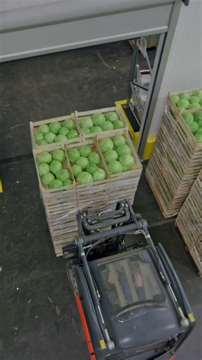 119 reactions | Fresh produce, greener paths. Shifting from road to sea cuts emissions by 70%, and keeps produce fresher for longer. Connect with our experts: | DP World | Facebook