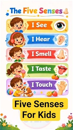 Five Senses For Kids | Sense Organs name | Five sense organs with their work #education #senseorgans
